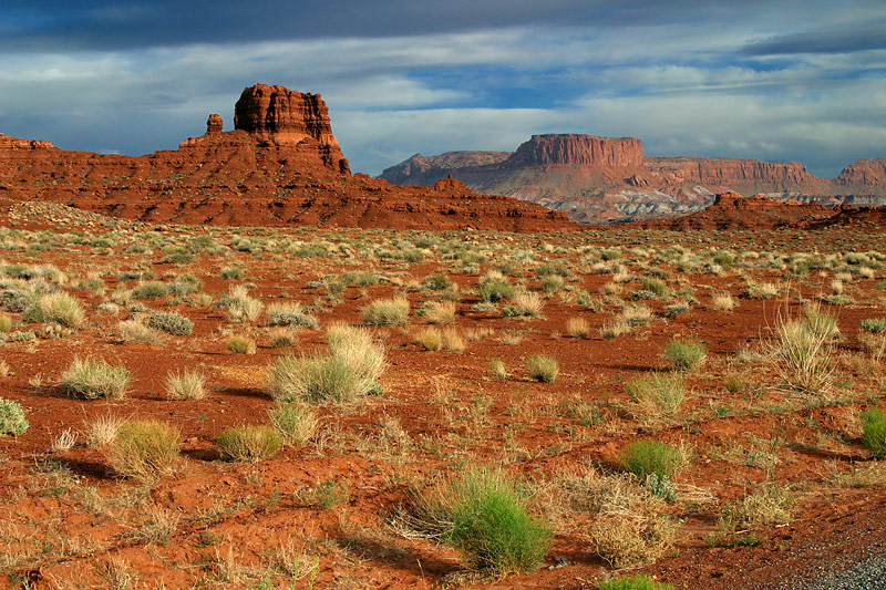 Artwork by Linda Bucklin