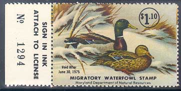 Artwork by Roger Bucklin