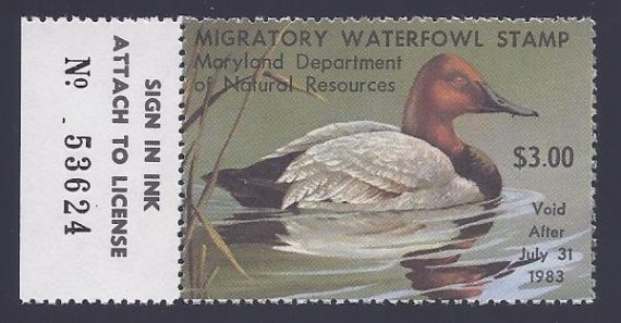 Canvasback Duck by Roger Bucklin